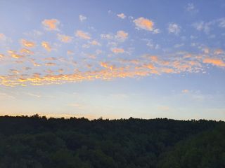 심수보 님의 시금치 · 일상 작성글 사진