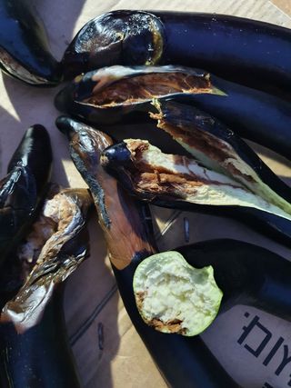 김태구님의 기타작물 · 병해충상담 작성글 사진