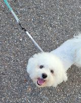 팜모닝 오이·자유게시판 게시글 이미지