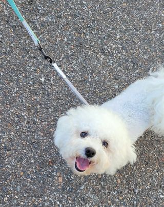 신태웅님의 오이 · 자유게시판 작성글 사진