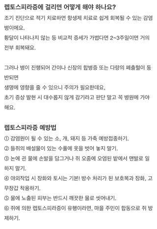 팜모닝님의 기타작물 · 농사길잡이 작성글 사진