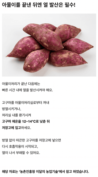 팜모닝님의 고구마 · 농사길잡이 작성글 사진