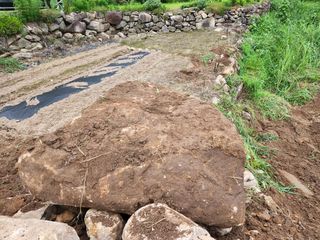 창녕블루베리님의 배추 · 일상 작성글 사진
