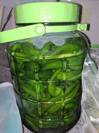 농부아지매님의 파 · 자유게시판 작성글 사진