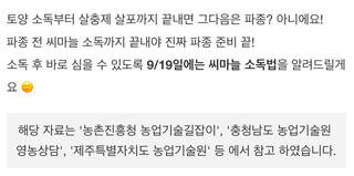 팜모닝님의 마늘 · 토양준비 작성글 사진