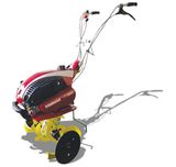 팜모닝 · 게시글 이미지