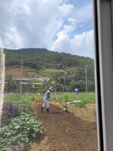 팜모닝 팜모닝·출석 게시글 이미지