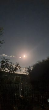 팜모닝 팜모닝·출석 게시글 이미지