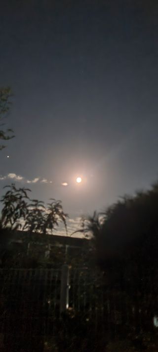 김문수님의 팜모닝 · 출석 작성글 사진