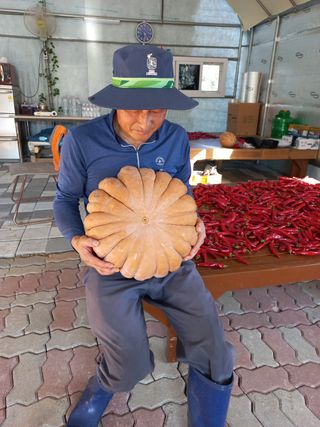 인천복분자님의 팜모닝 · 출석 작성글 사진