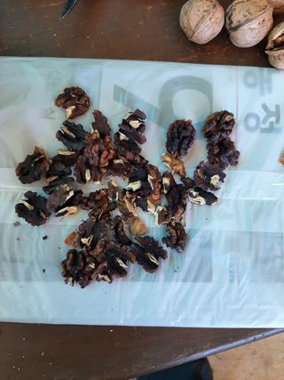 서영옥님의 기타작물 · 병해충상담 작성글 사진