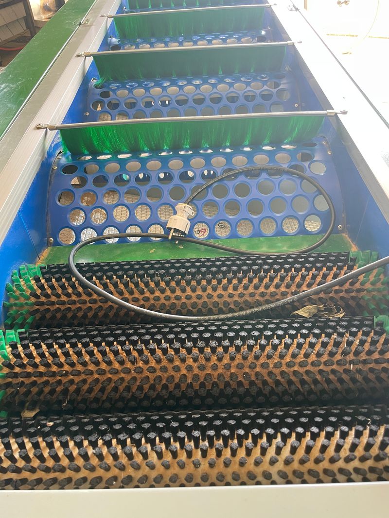 명지바람님의 장터 판매 상품 [매실선별기] 첨부 사진