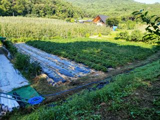 이유천님의 팜모닝 · 출석 작성글 사진