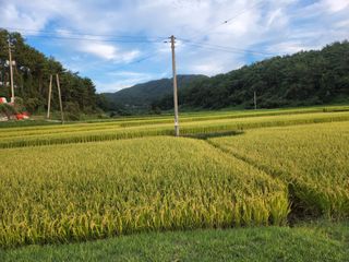홍민환님의 팜모닝 · 출석 작성글 사진