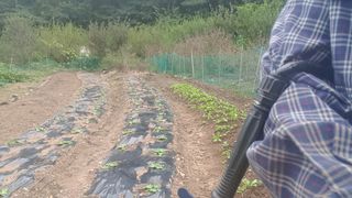 멋진시골할배님의 팜모닝 · 출석 작성글 사진