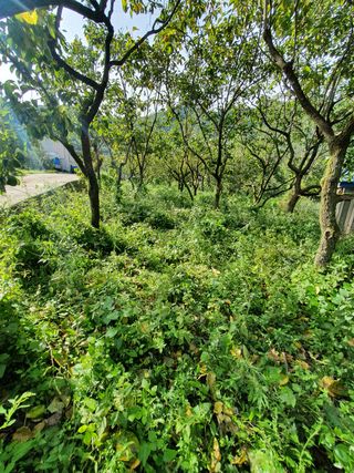 B. D님의 팜모닝 · 출석 작성글 사진