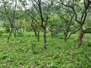 B. D님의 팜모닝 · 출석 작성글 사진