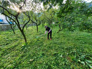 B. D님의 팜모닝 · 출석 작성글 사진