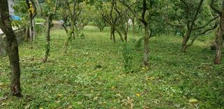 B. D님의 팜모닝 · 출석 작성글 사진