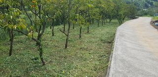 B. D님의 팜모닝 · 출석 작성글 사진