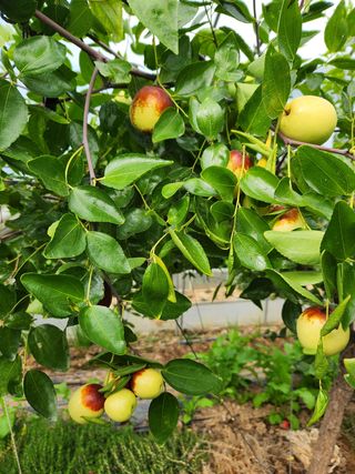 Preotu님의 팜모닝 · 출석 작성글 사진