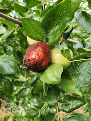 Preotu님의 팜모닝 · 출석 작성글 사진