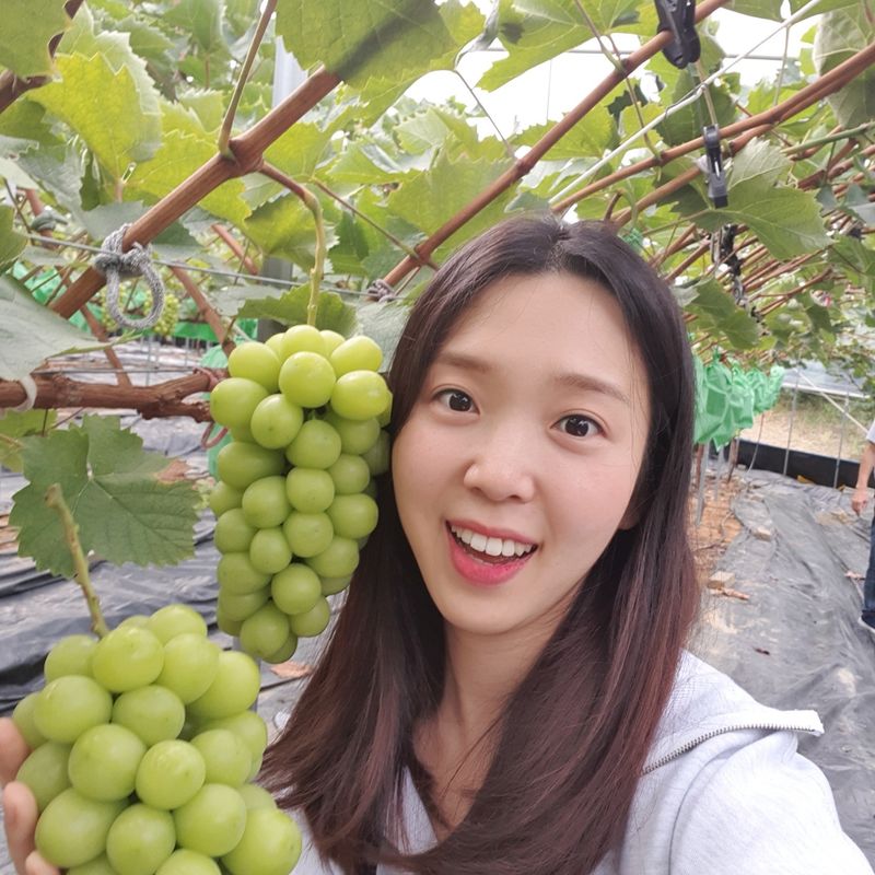 윤세열님의 장터 판매 상품 [샤인머스켓포도 ] 첨부 사진