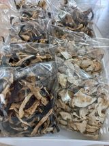 팜모닝 팜모닝·출석 게시글 이미지