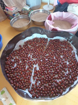 사연님의 고추 · 일상 작성글 사진