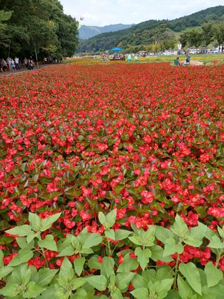 함양촌놈님의 팜모닝 · 출석 작성글 사진