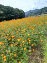 팜모닝 팜모닝·출석 게시글 이미지