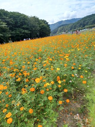 함양촌놈님의 팜모닝 · 출석 작성글 사진