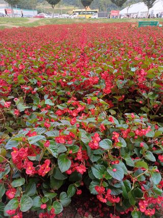 함양촌놈님의 팜모닝 · 출석 작성글 사진