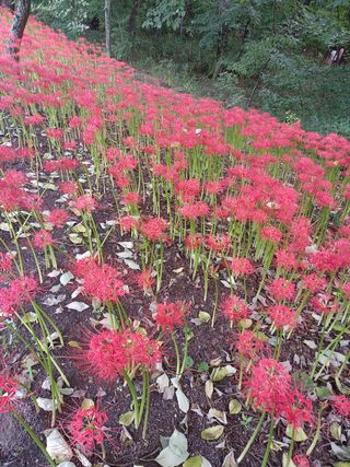 함양촌놈님의 팜모닝 · 출석 작성글 사진