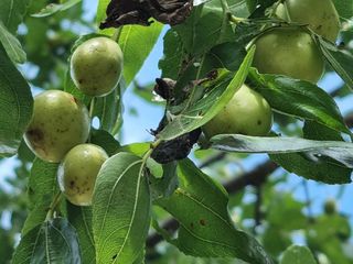 박상석님의 팜모닝 · 출석 작성글 사진