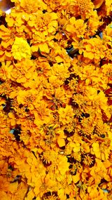 팜모닝 팜모닝·출석 게시글 이미지