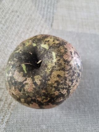 능주님의 사과 · 병해충상담 작성글 사진