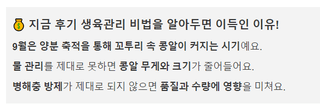 팜모닝님의 콩 · 농사길잡이 작성글 사진