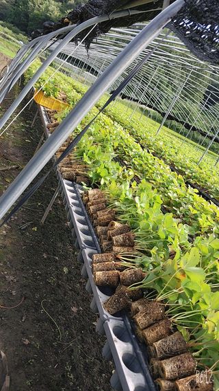 박현주님의 팜모닝 · 출석 작성글 사진