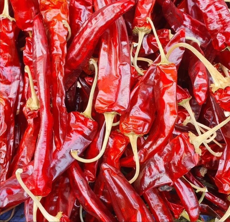 고광호님의 장터 판매 상품 [햇 고춧가루 한근(600g): 14,000원.] 첨부 사진