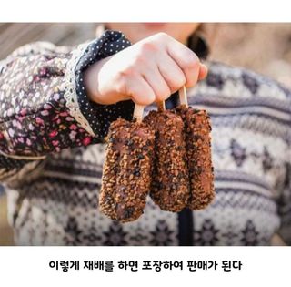 홍키통키님의 배추 · 일상 작성글 사진