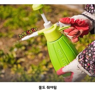 홍키통키님의 배추 · 일상 작성글 사진