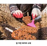 팜모닝 배추·일상 게시글 이미지