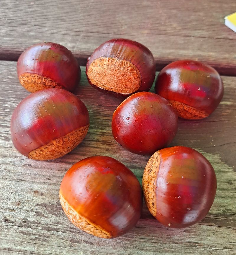 장터 상품 [2022햇밤 큰밤7000. 중간밤6000] 썸네일