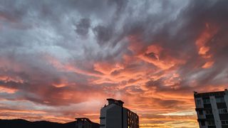 그린플루언서님의 팜모닝 · 출석 작성글 사진