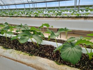 박상석님의 팜모닝 · 출석 작성글 사진