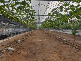 김용호님의 팜모닝 · 출석 작성글 사진