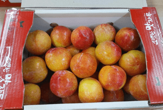 알 수 없음님의 토마토 · 일상 작성글 사진