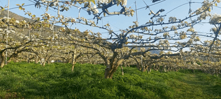 별헤는농부님의 콩 · 자유게시판 작성글 사진