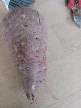 유경희님의 딸기 · 일상 작성글 사진